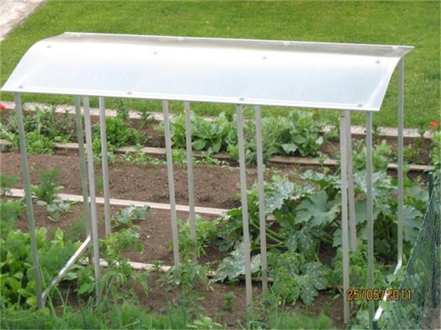TOMATENSCHUTZ