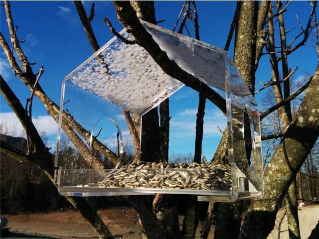 Pleksi hranilica za ptice - VELIKA