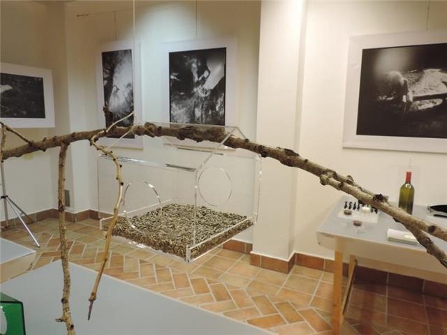 Plexi Vogelhaus - GROSS