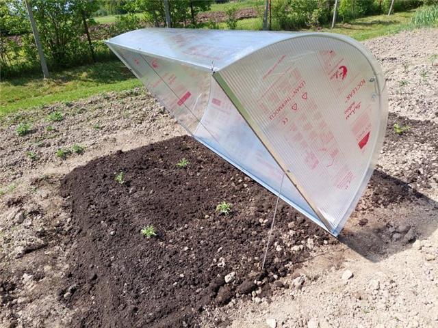 WARMES BEET / ABDECKUNG FÜR HOCHBEET 