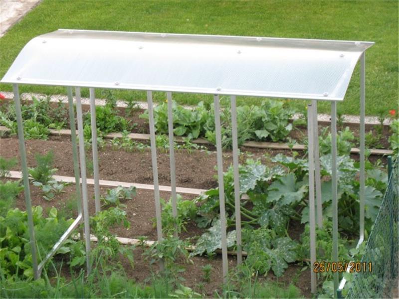 TOMATENSCHUTZ